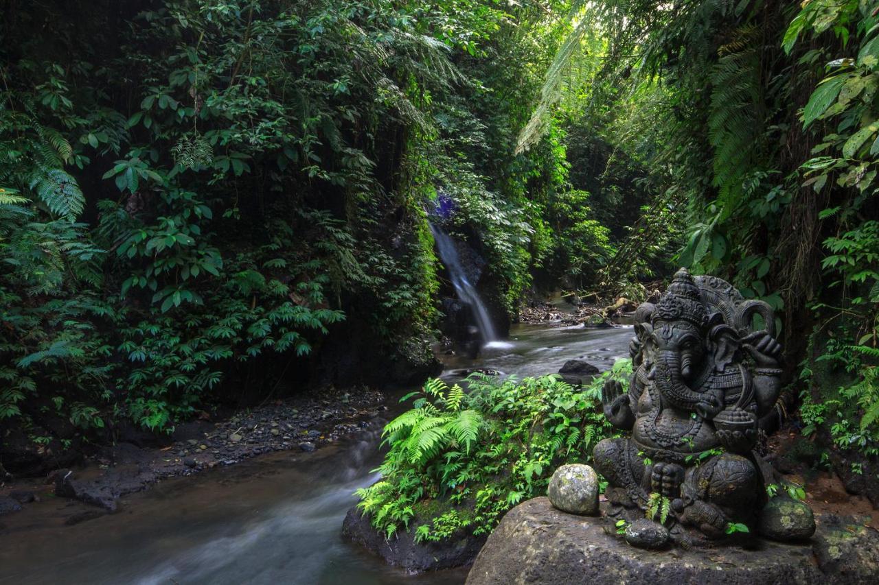 Bali Jungle Resort Tegallalang  Kültér fotó