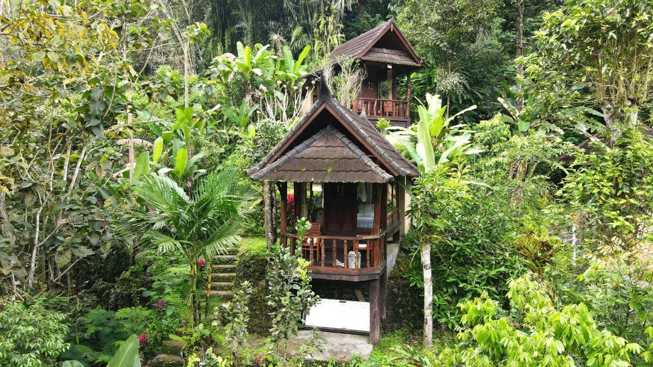 Bali Jungle Resort Tegallalang  Kültér fotó