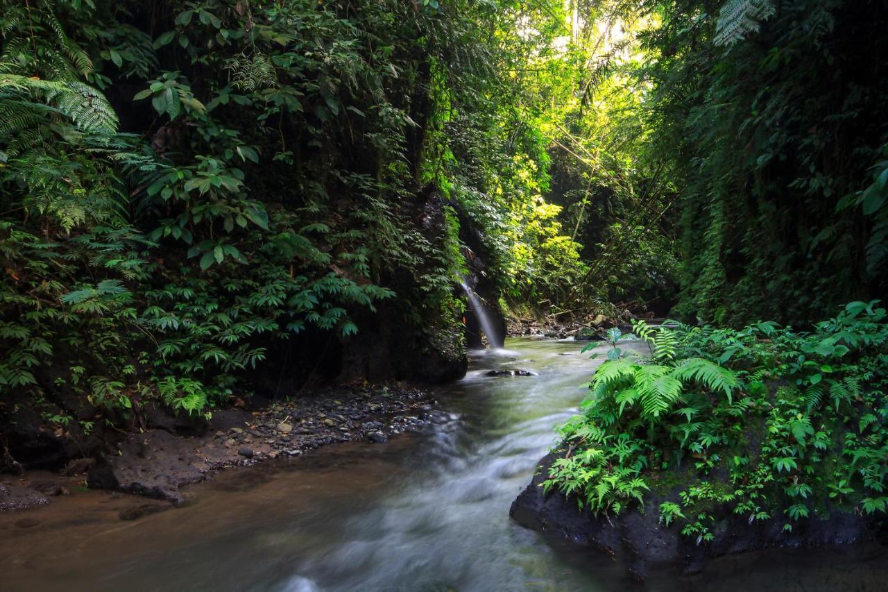 Bali Jungle Resort Tegallalang  Kültér fotó