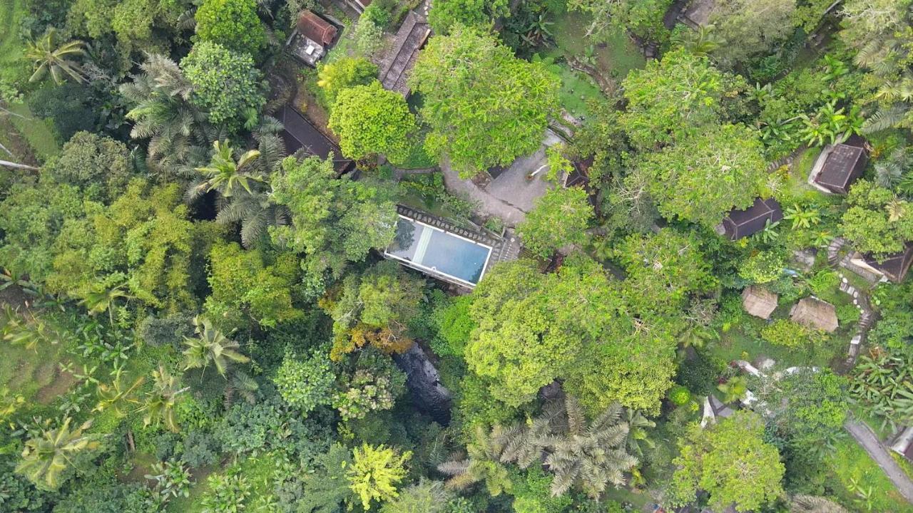 Bali Jungle Resort Tegallalang  Kültér fotó