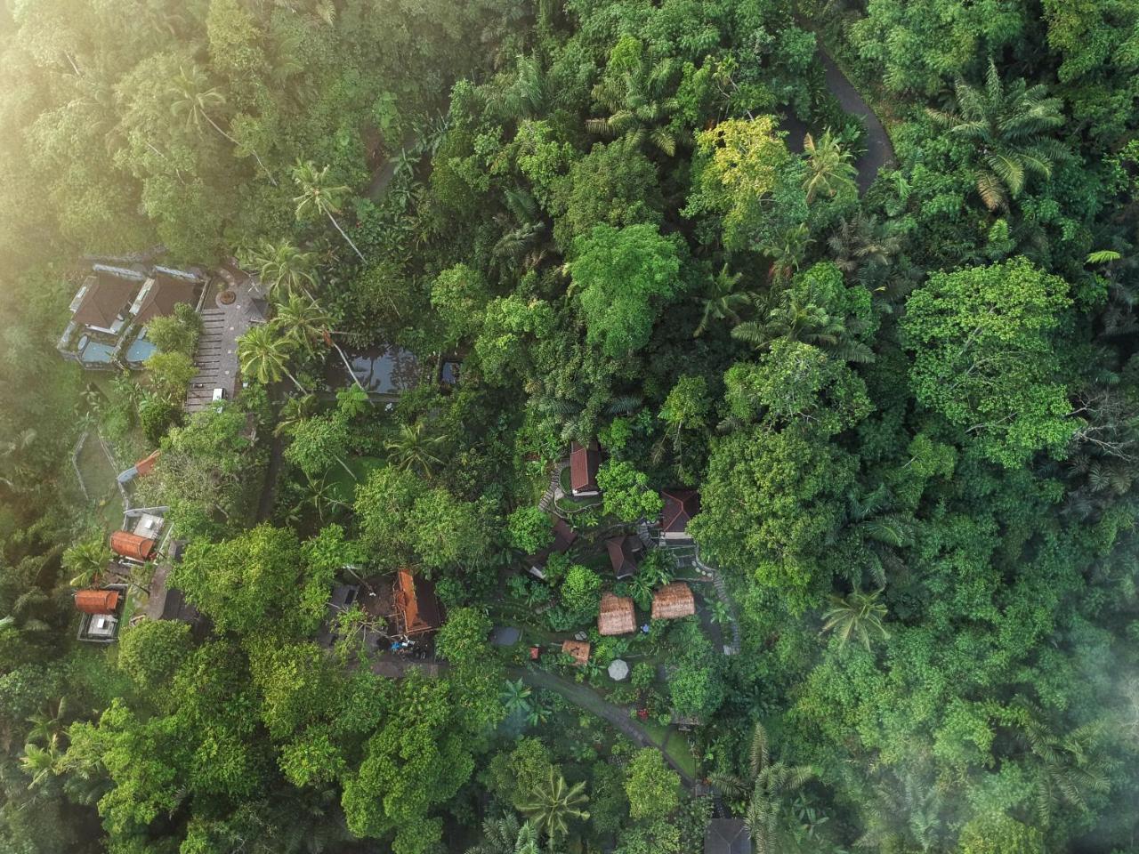 Bali Jungle Resort Tegallalang  Kültér fotó